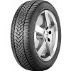 Dunlop Winter Sport 5 ( 205/50 R17 93H XL )