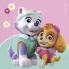 Procos servítky Paw Patrol Skye & Everest 33x33cm 20ks