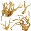 Abc-Zoo koreň Cuckoo Root Premium 20-40 cm