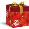 MFP vianočná darčeková krabica s vekom, rozmer 12x12x15cm, červená s potlačou