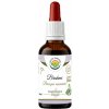 Salvia Paradise Bacopa monnieri Brahmi AF tinktura 50 ml