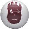 Wilson Mr. Wilson