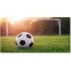 Foto-obraz fotografie na skle futbal 100x50 cm
