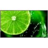 SHARP/NEC 55'' LED NEC E558,3840x2160,IPS,16/7,350cd 60005054