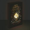 Paladone Svietiaci obraz Harry Potter - Záškodnícky plánik