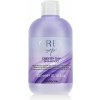 Inebrya GREYlosophy Grey By Day Shampoo 300 ml
