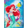 Zápisník Ariel Disney vykladanie z diamantov