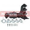 Katalyzátor KAMOKA 8015082