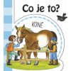 Co je to? Koně