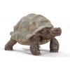 Schleich 14824 Želva obrovská