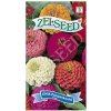 Zelseed - Cínia pomponkovitá ZMES 0,8g