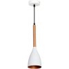 Luminex | Luster na lanku MUZA 1xE27/60W/230V | LU9106