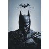 Plagát, Obraz - Batman - Arkham Origins, 26.7 × 40 cm