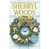 A Chesapeake Shores Christmas