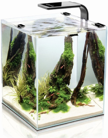 Aquael akvárium Shrimp 20x20x25 cm, 10 l
