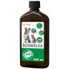 Dromy Boswellia liquid 500 ml