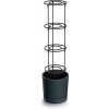 Prosperplast HOME GROWER na pestovanie paradajok 35 l antracit DEPO400-S433