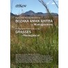 Field Guide of Common Grasses of Madagascar