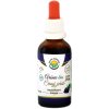 Arónie - Čierny žeriav AF tinktúra BIO 50 ml od Salvia Paradise