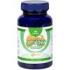 Natural Pharm Graviola, Cat´s Claw, Reishi tablety 200 ks