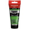 Amsterdam Expert akrylová farba 618 permanent green light 75 ml