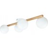 TK Lighting Stropné svietidlo ELYON 4xG9/40W/230V borovica 6848 + záruka 3 roky zadarmo