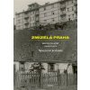 Zmizelá Praha-Nouzové kolonie (David Platil, Martin Dolejský)