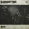 Elephant Tree - Day of Doom - Live / Vinyl / Limited / Dark Green [LP]