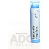 Hamamelis Virginiana gra.1 x 4 g 9CH
