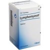Lymphomyosot tbl.1 x 100