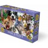 Puzzle s 3D efektom Prime 3D 100 dielikov Selfie: Kamaráti z dvora