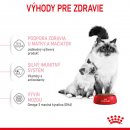 Royal Canin Mother & Babycat 4 kg
