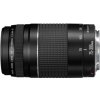 Canon EF 75-300mm f/4.0-5.6III