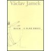 Duch v plné práci - Jamek Václav