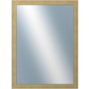 DANTIK - Zrkadlo v rámu, rozmer s rámom 60x80 cm z lišty ANDRÉ veľká starostrieborná (3156)