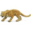 Safari® Leopard
