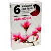 ČAJOVÉ SVIEČKY Magnólia (Magnolia) – 6ks