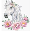Zuty – Maľovanie Podľa Čísel – Biely Kôň S Pivonkami, 40 × 50 cm, Plátno + Rám 8596530078098