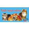 Nájdi moju rodinu - INFOA