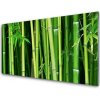 Sklenený obklad Do kuchyne Bambusový les bambus príroda 100x50 cm