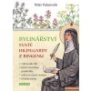 Bylinářství svaté Hildegardy z Bingenu - Peter Pukownik