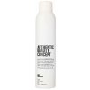 AUTHENTIC BEAUTY CONCEPT Dry Shampoo 250 ml