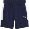 Puma teamEVOSTRIPE Short