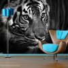 Sablio Tapeta Čiernobiely tiger - 336x220 cm