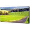 Foto obraz na plátne Polní cesta 100x50 cm