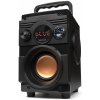 Prenosný reproduktor Squeak BassBlaster čierny 18 W (SQ1001)
