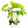 GiganTerra Monstera 30 cm