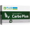 Plus Lekáreň Carbo Plus kapsúl aktívne uhlie 250 mg 20 ks
