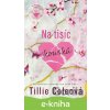 E-kniha Na tisíc kousků - Tillie Coleová