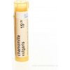 Chamomilla Vulgaris gra.1 x 4 g 15CH